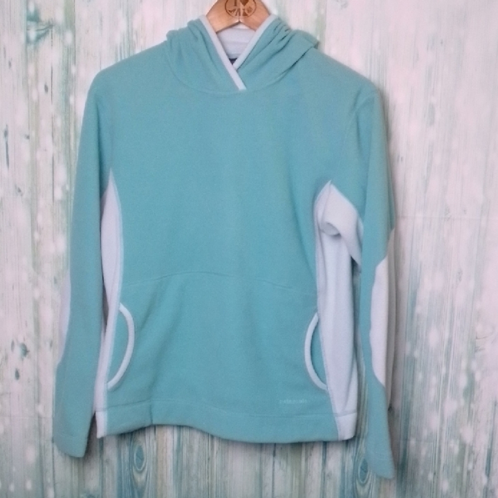 Patagonia W's Micro D- Lux Hoody Light Blue Medium